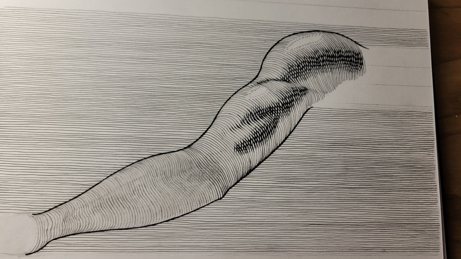 Developing A New Pen and Ink Style